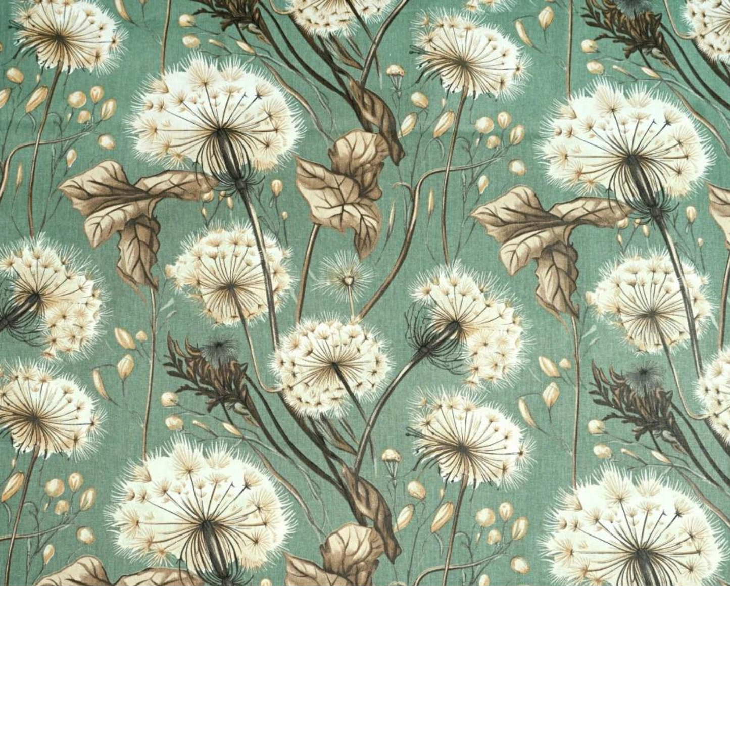 Tissu Coton Imprimé Grands Motifs Pissenlits - Beige Fond Vert Sauge