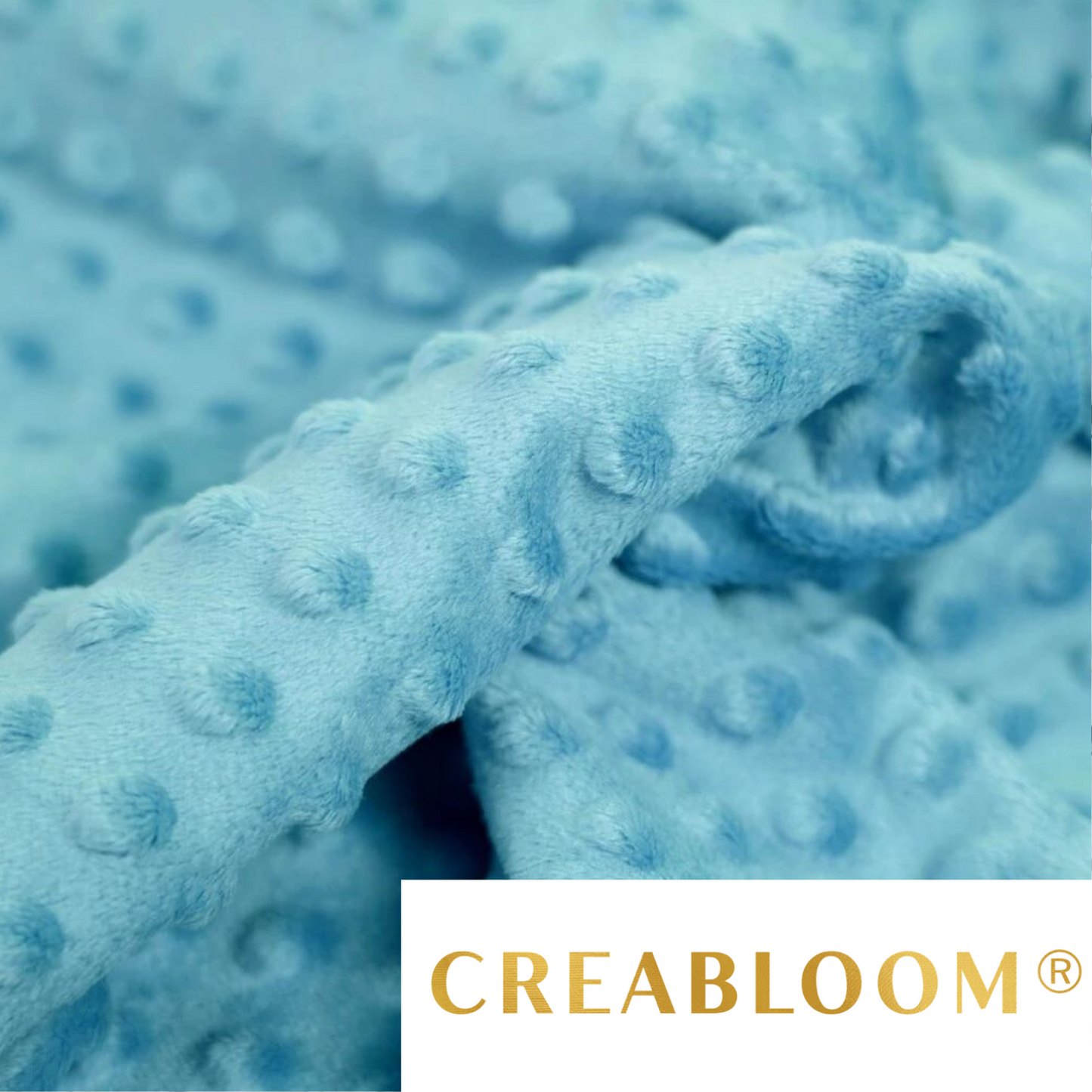 Tissu Minky Bleu Clair