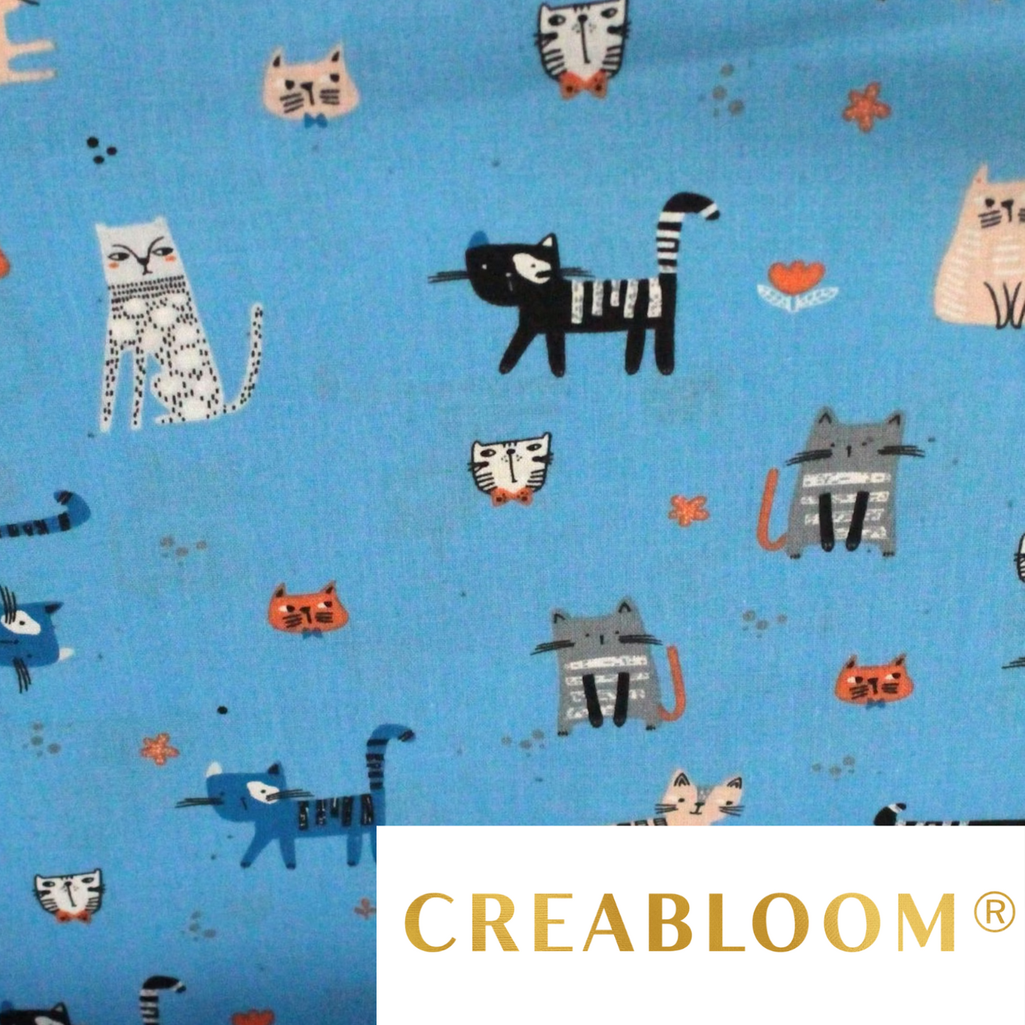 Tissu coton Motif chats