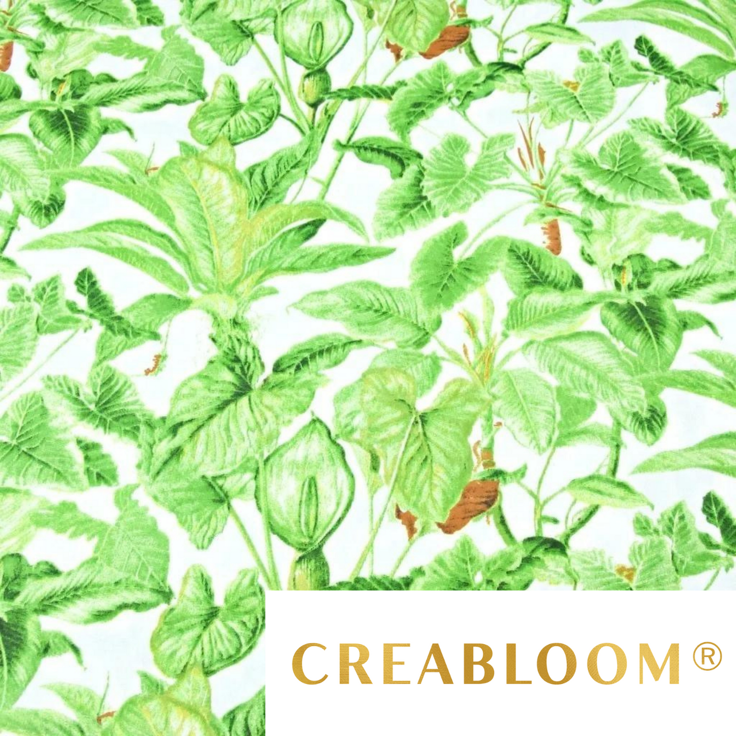 Tissu Coton Motif Plantes