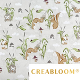 Tissu Coton Motif Écureuils
