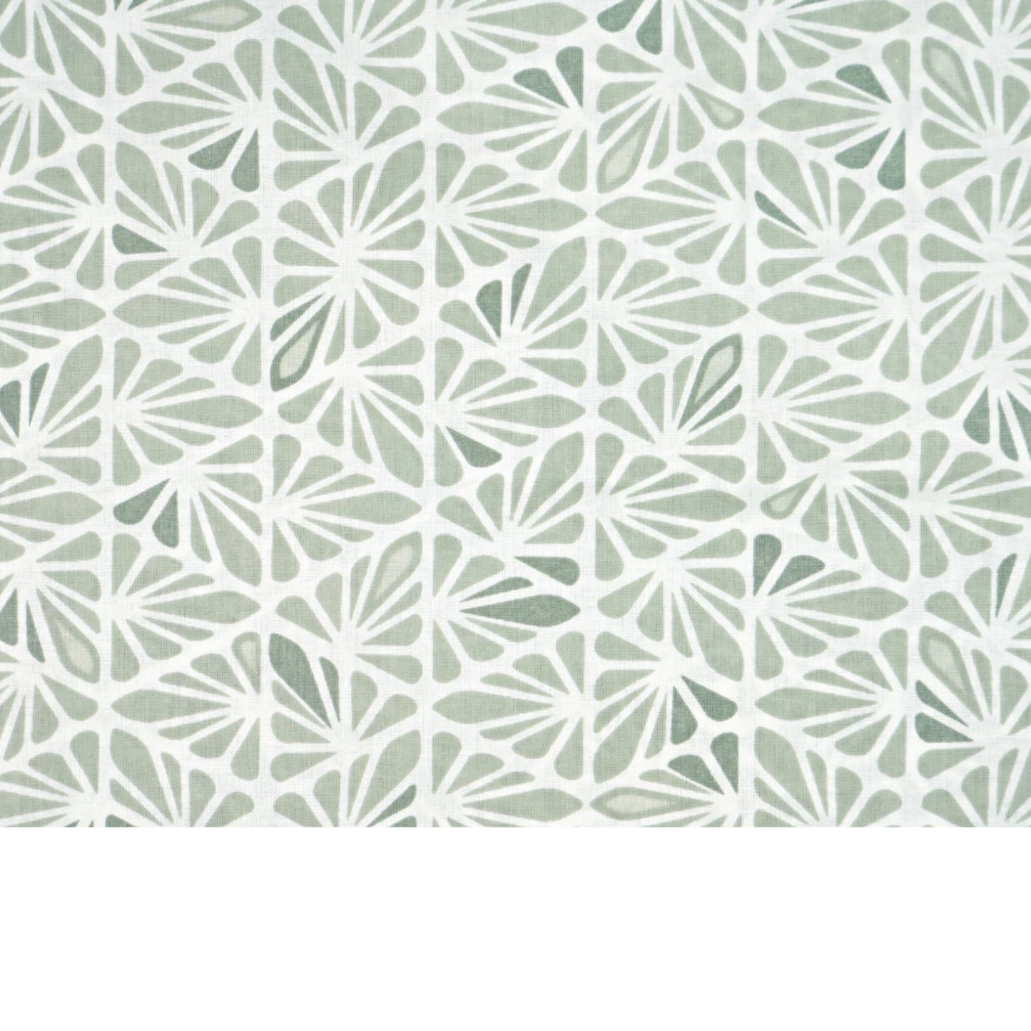 Tissu coton Motif sauge