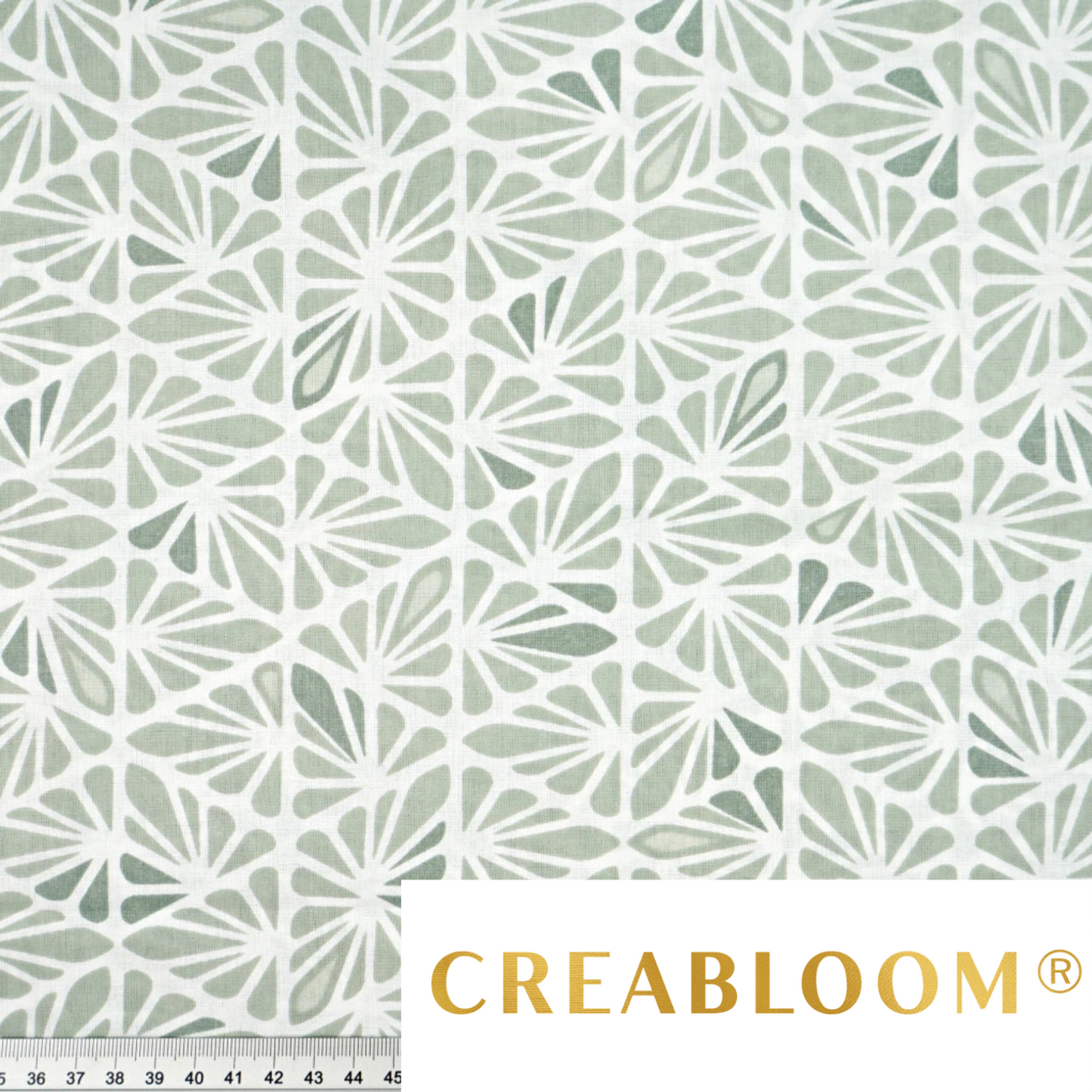 Tissu coton Motif sauge