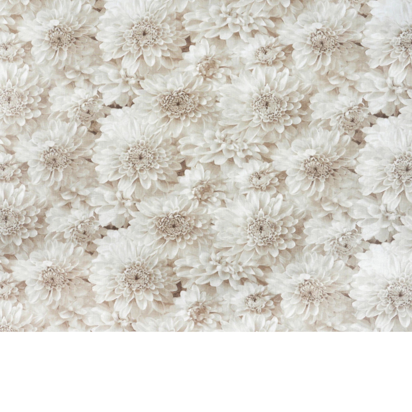 Tissu coton Motif fleurs
