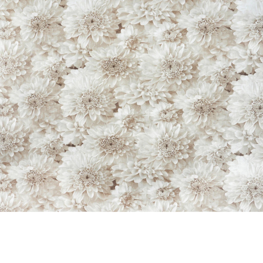 Tissu coton Motif fleurs