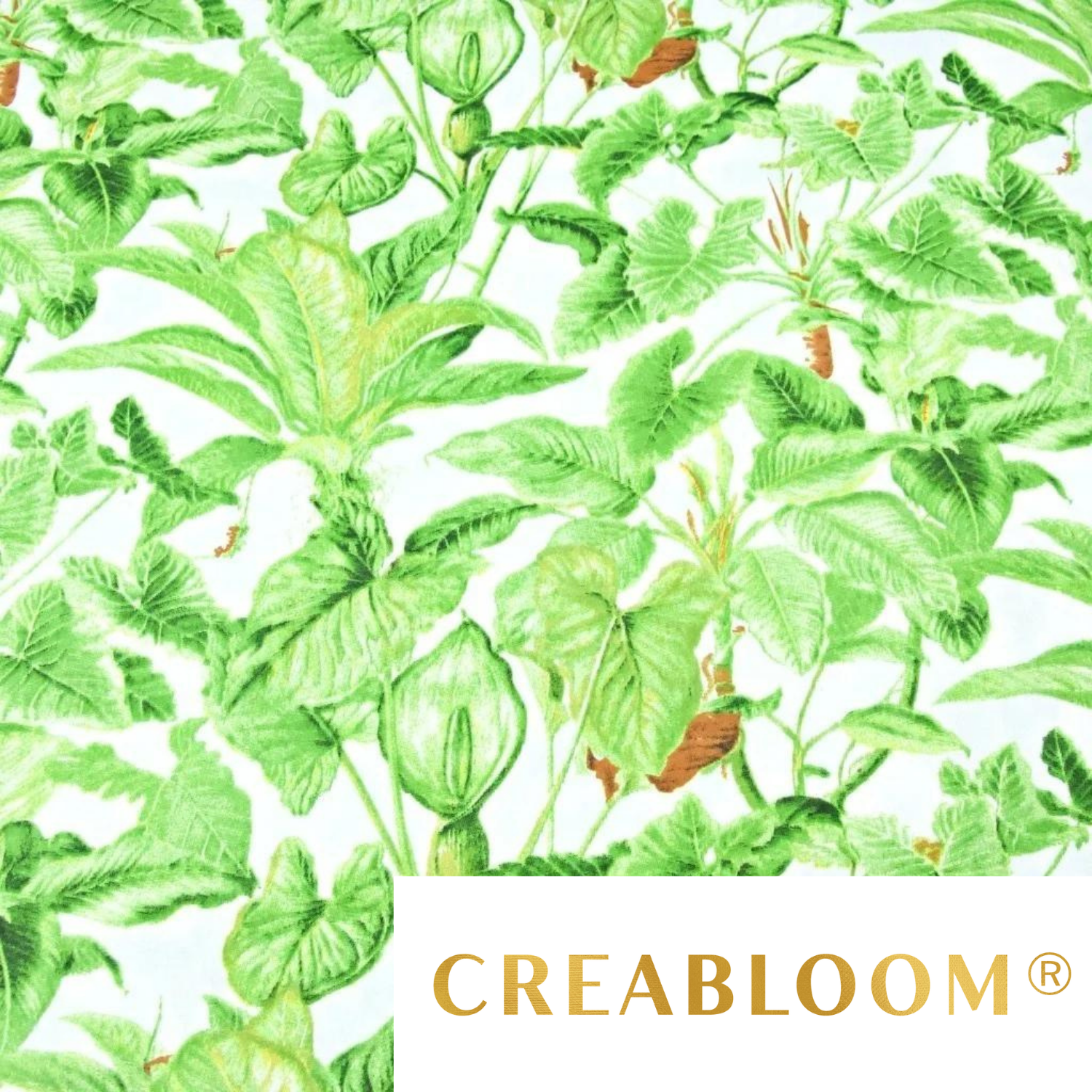 Tissu Coton Motif Plantes