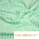Tissu Minky Menthe Clair