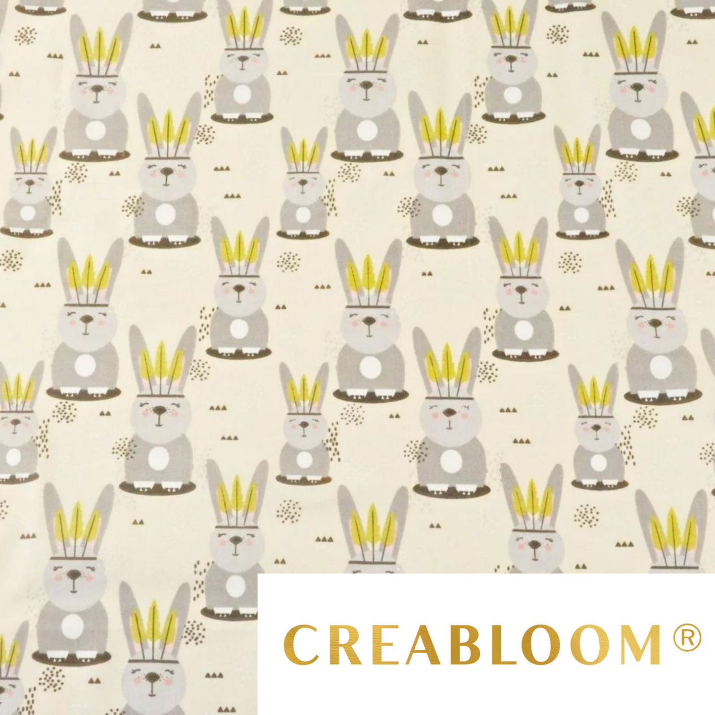 Tissu Coton Motif Lapins Indiens