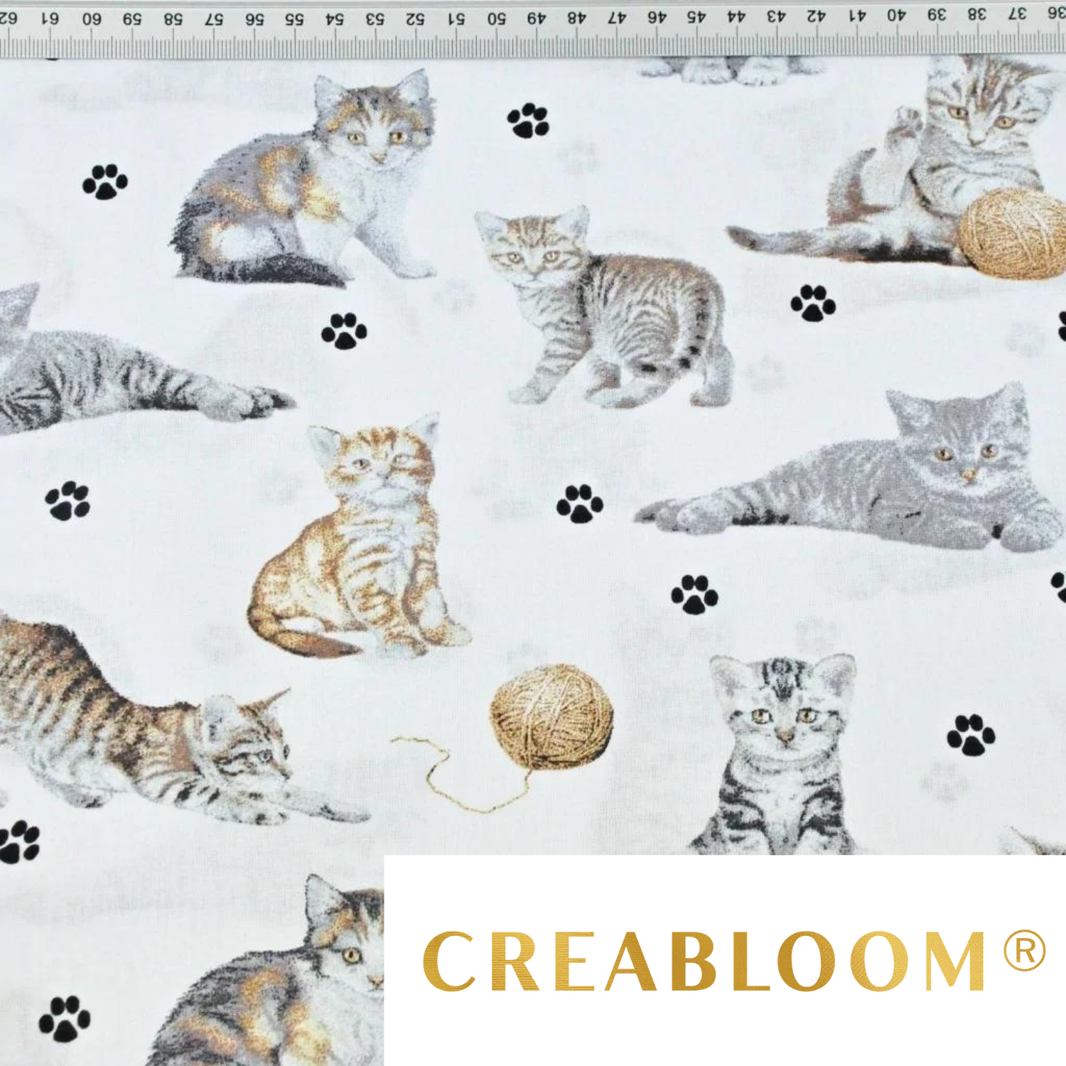 Tissu Coton Motif Chats Fond Blanc