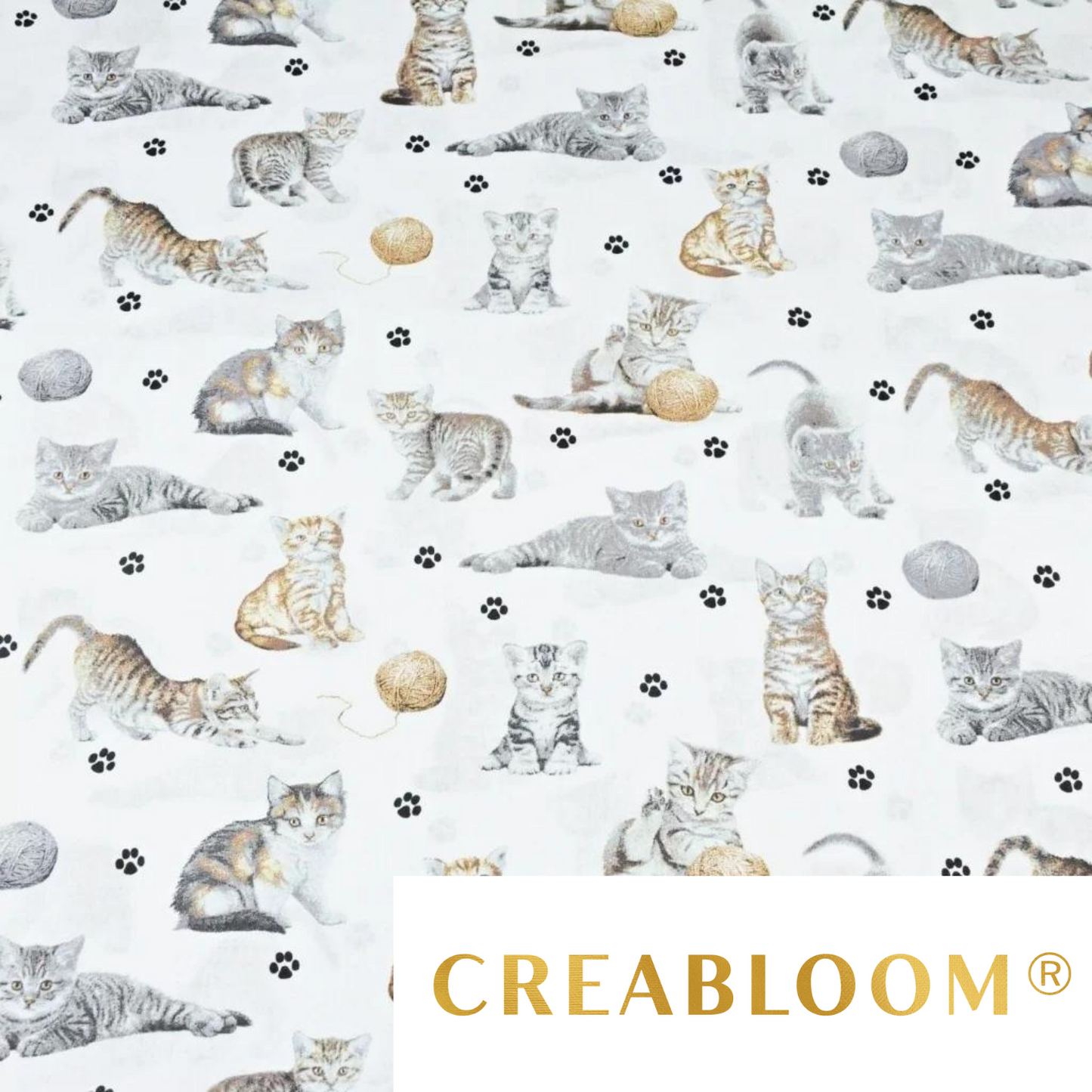 Tissu Coton Motif Chats Fond Blanc