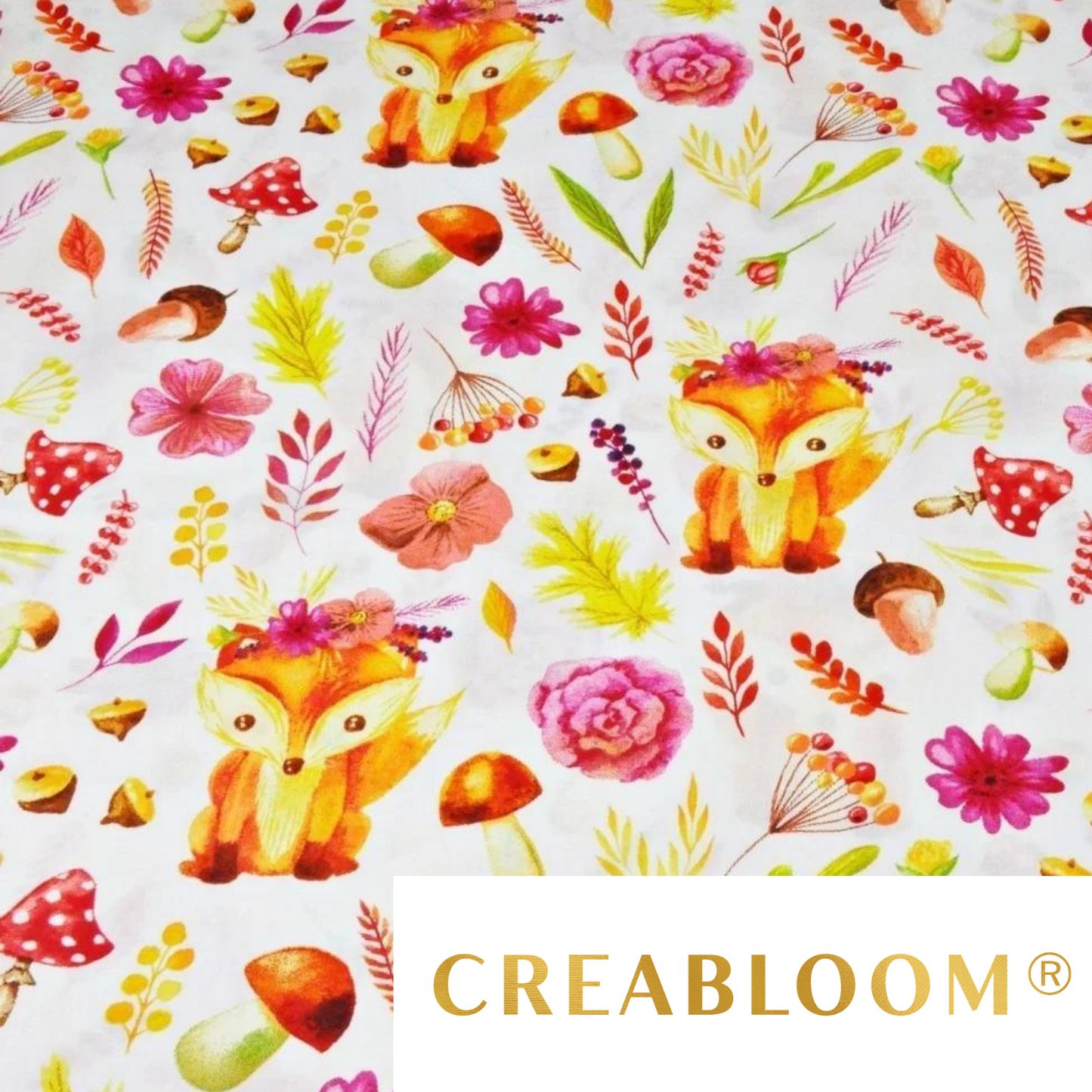 Tissu Coton Motif Renards