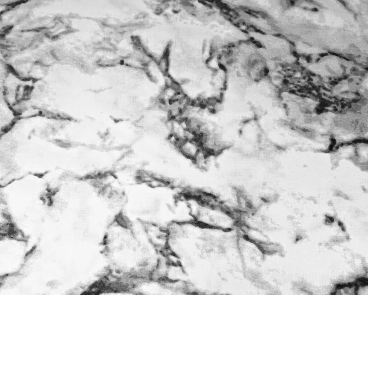 Tissu Coton Imprimé Effet Marbre - Gris