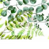 Tissu Coton Motif Plantes