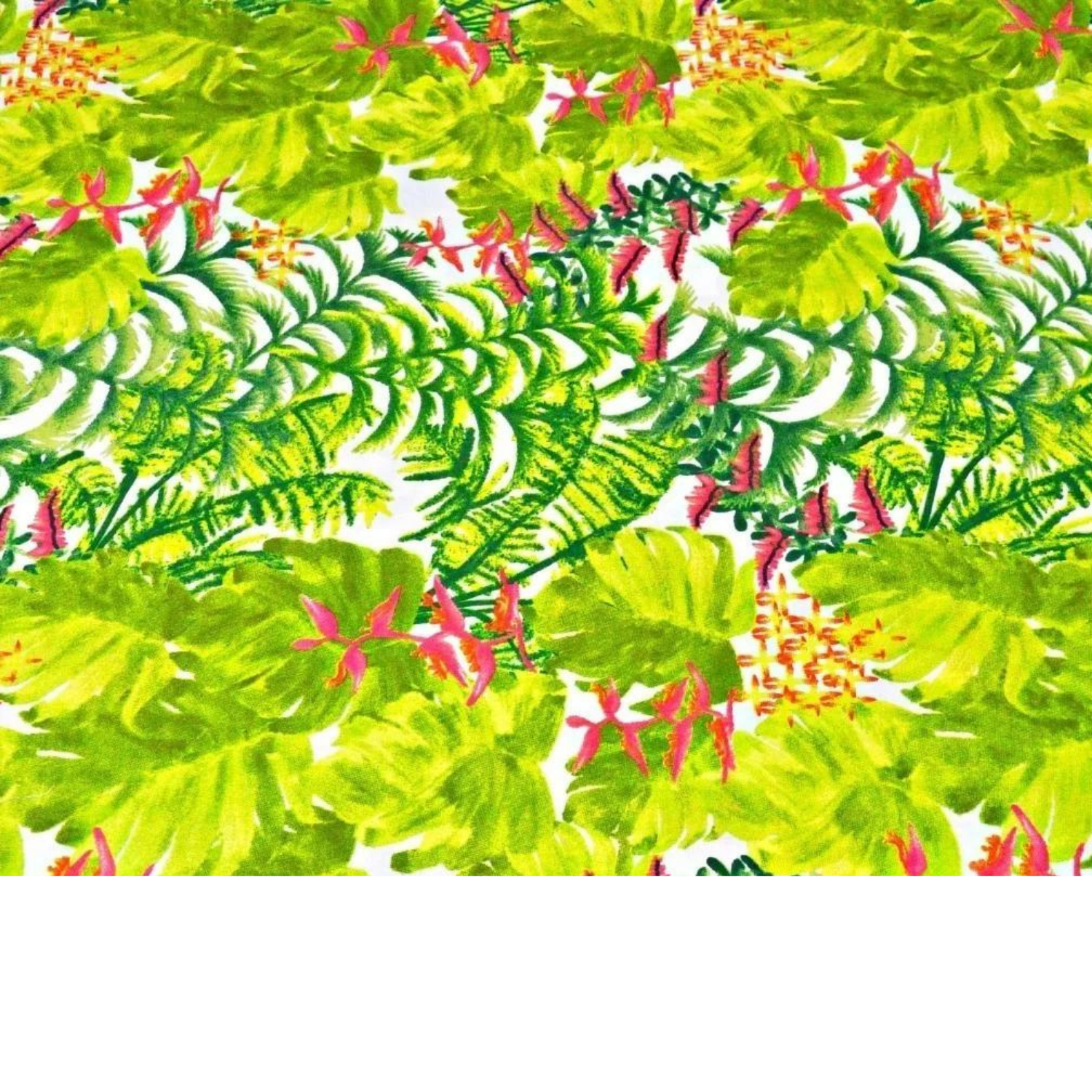 Tissu Coton Motif Plantes Et Fleurs